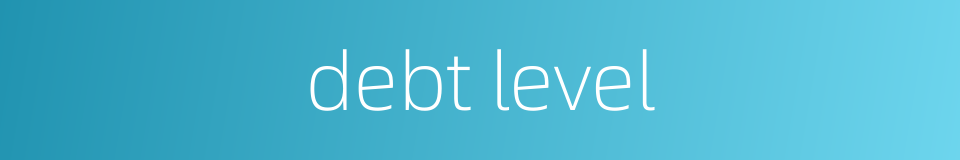 debt level的同义词