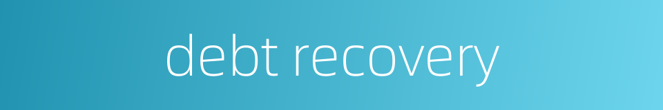 debt recovery的同义词
