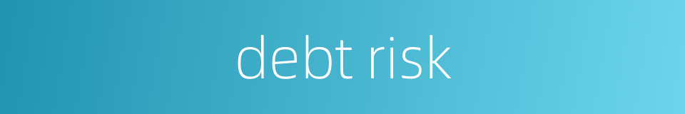 debt risk的同义词