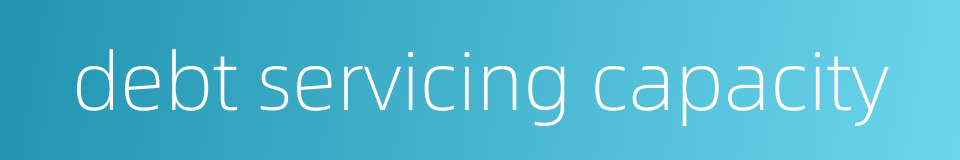 debt servicing capacity的同义词