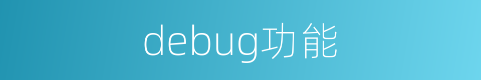 debug功能的同义词