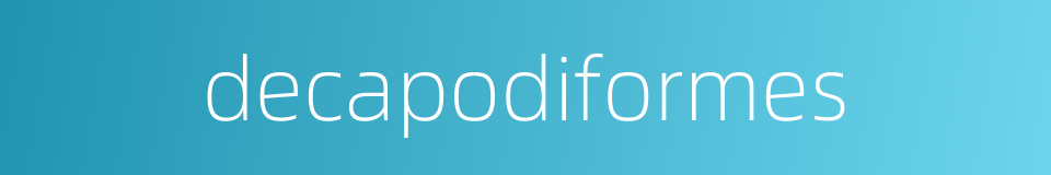 decapodiformes的同义词
