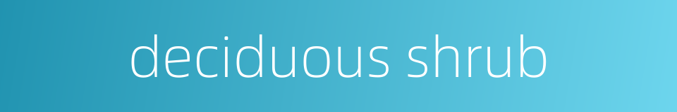 deciduous shrub的同义词
