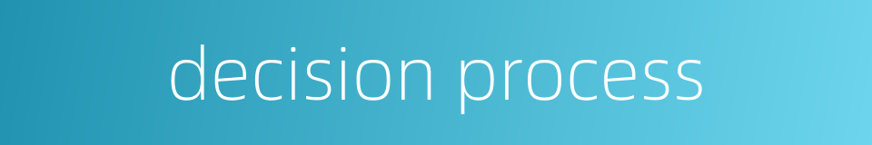 decision process的同义词