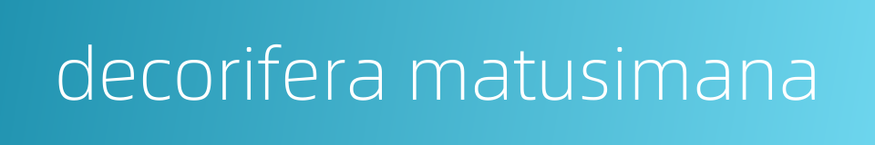 decorifera matusimana的同义词