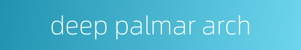 deep palmar arch的同义词