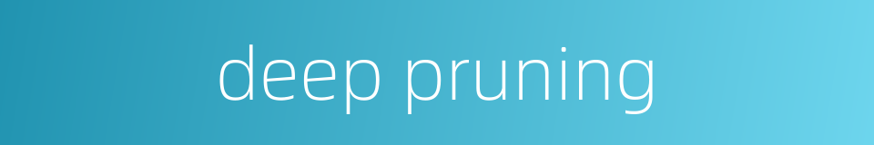 deep pruning的同义词