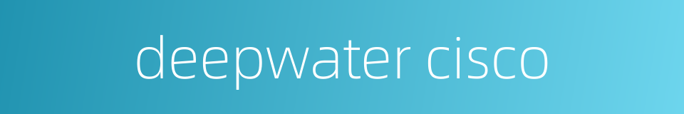 deepwater cisco的同义词