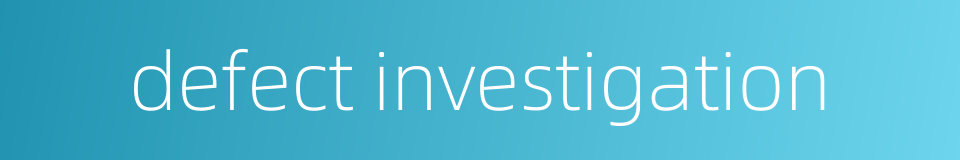 defect investigation的同义词