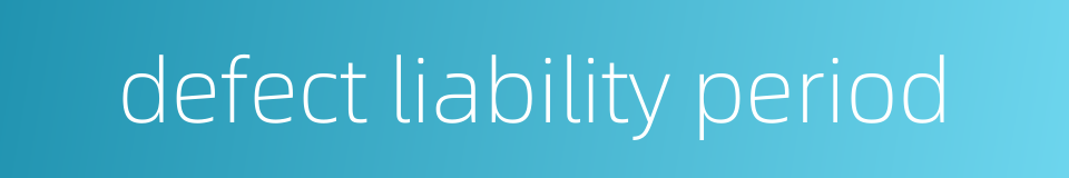 defect liability period的同义词