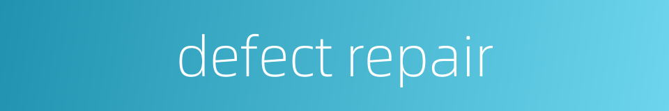 defect repair的同义词