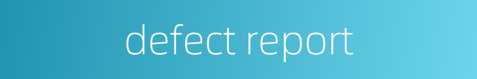 defect report的同义词