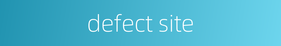 defect site的同义词