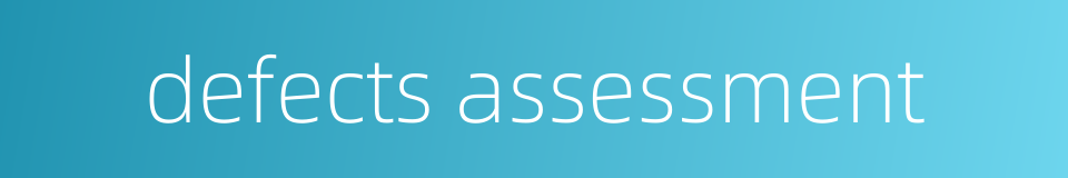 defects assessment的同义词