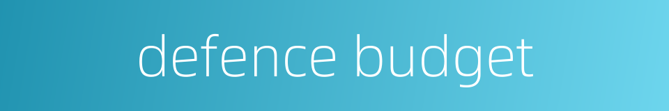defence budget的同义词
