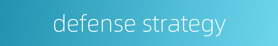 defense strategy的同义词
