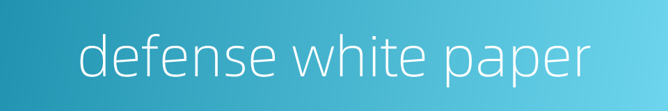 defense white paper的同义词