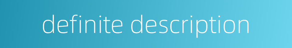 definite description的同义词