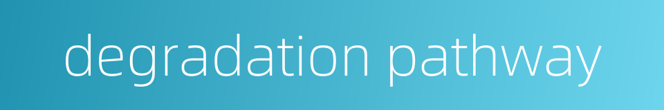 degradation pathway的同义词