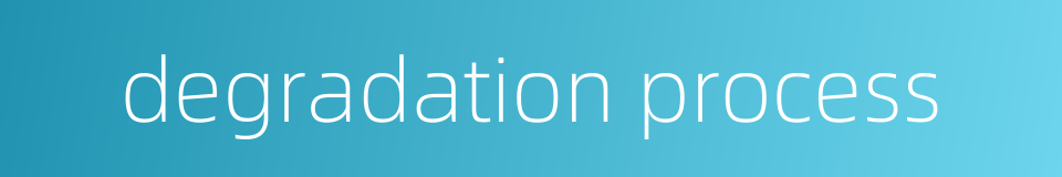 degradation process的同义词