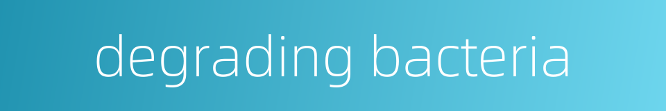 degrading bacteria的同义词