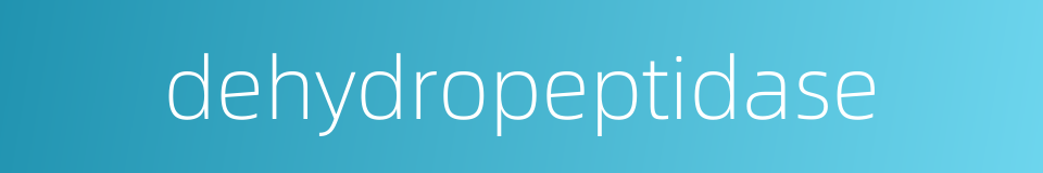 dehydropeptidase的同义词
