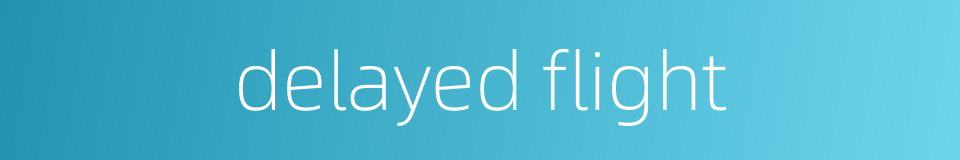 delayed flight的同义词