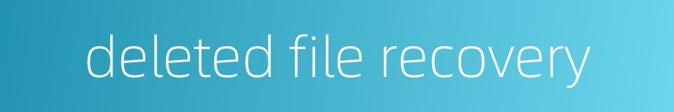 deleted file recovery的同义词