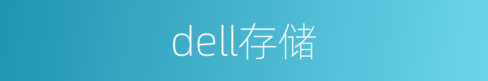 dell存储的同义词