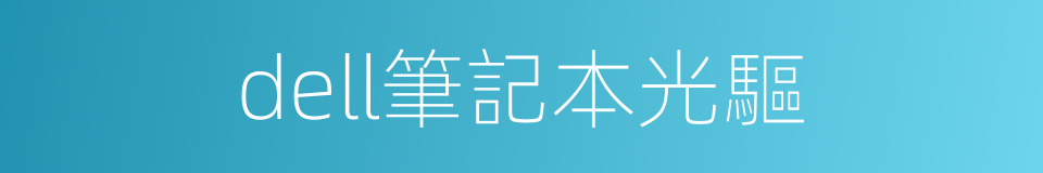 dell筆記本光驅的同義詞