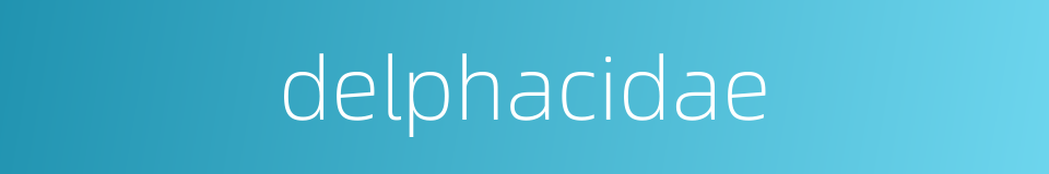 delphacidae的同义词