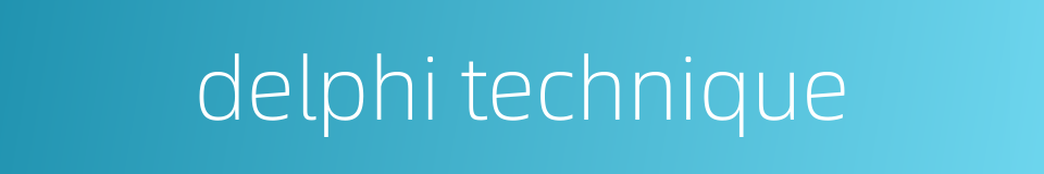 delphi technique的同义词