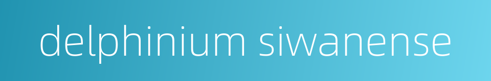 delphinium siwanense的同义词
