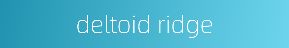 deltoid ridge的同义词