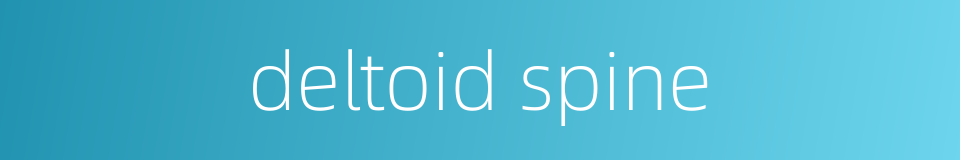 deltoid spine的同义词