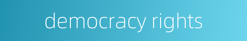 democracy rights的同义词