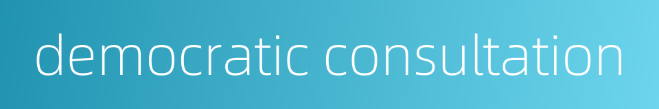 democratic consultation的同义词