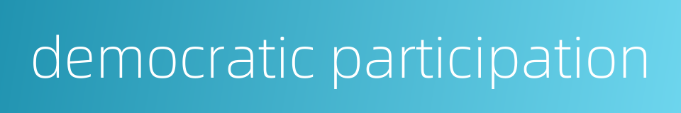 democratic participation的同义词
