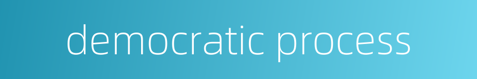 democratic process的同义词