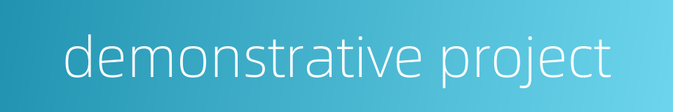 demonstrative project的同义词