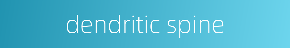 dendritic spine的同义词