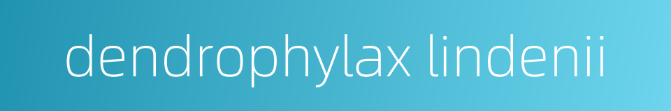 dendrophylax lindenii的同义词