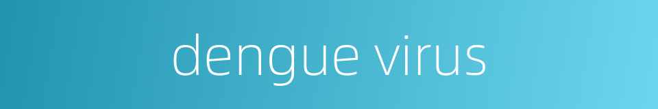 dengue virus的同义词