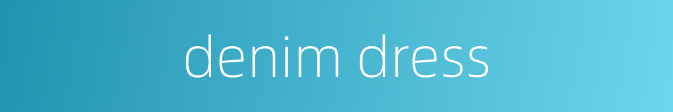 denim dress的同义词