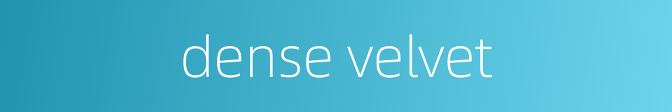 dense velvet的同义词