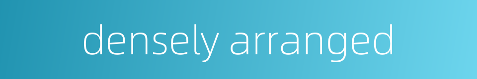 densely arranged的同义词