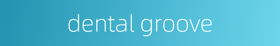 dental groove的同义词