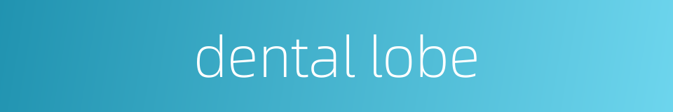 dental lobe的同义词