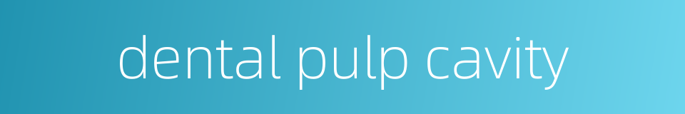 dental pulp cavity的同义词