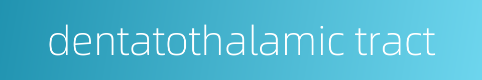 dentatothalamic tract的同义词